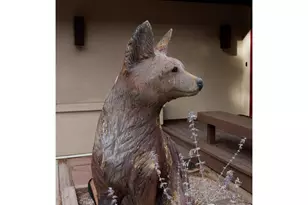 76 Pine Tree Ln, Boulder, CO 80304 - Photo 37