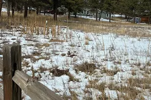 1759 Arapahoe Dr, Florissant, CO 80816 - Photo 3