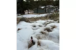 1759 Arapahoe Dr, Florissant, CO 80816 - Photo 39