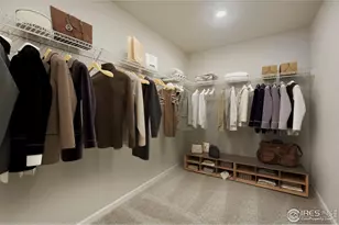 771 Wood Sorrel Ln, Fort Collins, CO 80524 - Photo 13