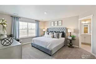 5967 Holstein Dr, Windsor, CO 80528 - Photo 13