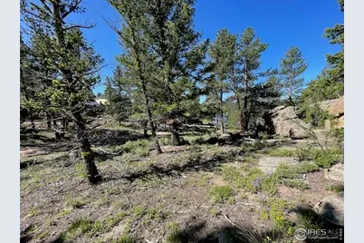 3086 Fox Acres Dr E, Red Feather Lakes, CO 80545 - Photo 15