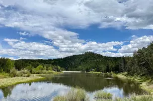 972 Aspen Dr, Lyons, CO 80540 - Photo 43