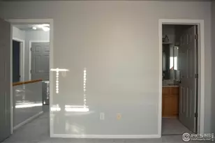 135 Carina Cir, Loveland, CO 80537 - Photo 27