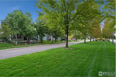 1116 Grand Ave, Windsor, CO 80550 - Photo 39