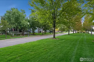 1116 Grand Ave, Windsor, CO 80550 - Photo 39