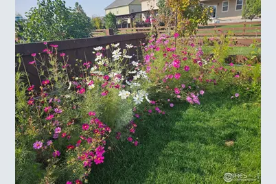 6734 Grainery Rd, Timnath, CO 80547 - Photo 39