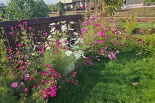 6734 Grainery Rd, Timnath, CO 80547 - Photo 39