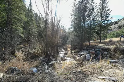 416 Black Creek Dr, Glen Haven, CO 80532 - Photo 19