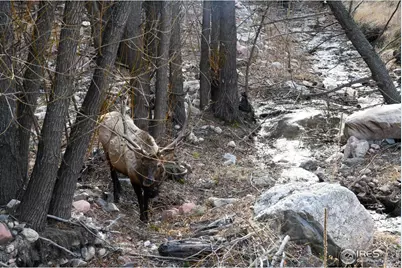 416 Black Creek Dr, Glen Haven, CO 80532 - Photo 1