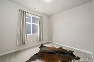 3812 Beech Tree St, Wellington, CO 80549 - Photo 13