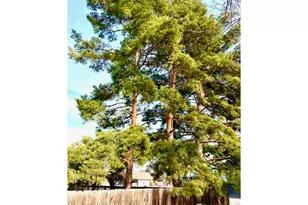 2400 Elmhurst Pl, Longmont, CO 80503 - Photo 27