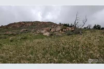 1191 Eiger Rd, Livermore, CO 80536 - Photo 17