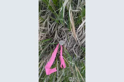 1191 Eiger Rd, Livermore, CO 80536 - Photo 13