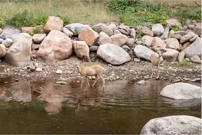 458 Longmont Dam Rd, Lyons, CO 80540 - Photo 9