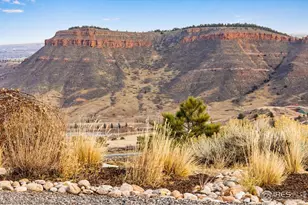12422 W County Rd 18E, Loveland, CO 80537 - Photo 13