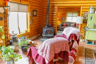 311 Chiricahua Cir, Red Feather Lakes, CO 80545 - Photo 11