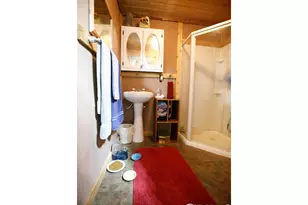 311 Chiricahua Cir, Red Feather Lakes, CO 80545 - Photo 35