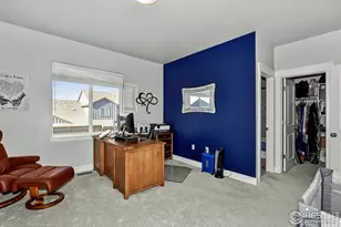 6245 Vernazza Way, Windsor, CO 80550 - Photo 27