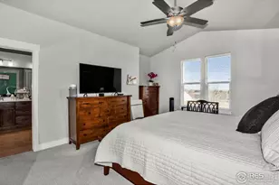 6245 Vernazza Way, Windsor, CO 80550 - Photo 21