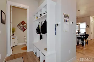 6245 Vernazza Way, Windsor, CO 80550 - Photo 17