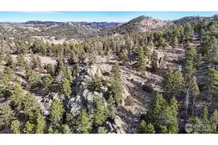 238 Springmeadow Way, Red Feather Lakes, CO 80545 - Photo 35