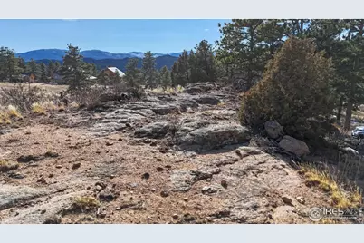 238 Springmeadow Way, Red Feather Lakes, CO 80545 - Photo 29