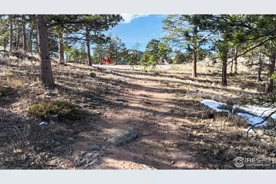 238 Springmeadow Way, Red Feather Lakes, CO 80545 - Photo 37