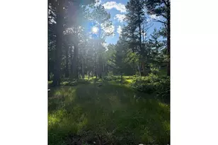 187 Lynx Dr, Ward, CO 80481 - Photo 39