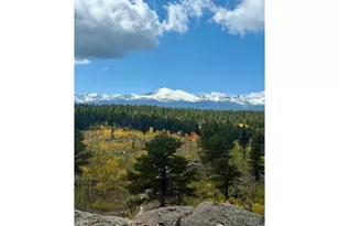 187 Lynx Dr, Ward, CO 80481 - Photo 49