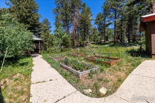 187 Lynx Dr, Ward, CO 80481 - Photo 41