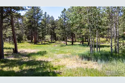 187 Lynx Dr, Ward, CO 80481 - Photo 3