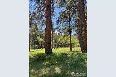 187 Lynx Dr, Ward, CO 80481 - Photo 41