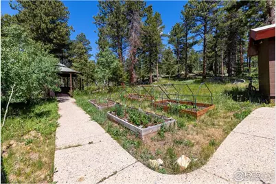 187 Lynx Dr, Ward, CO 80481 - Photo 39