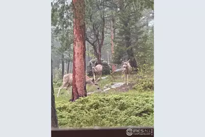 187 Lynx Dr, Ward, CO 80481 - Photo 37