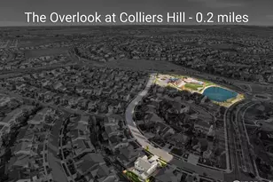 505 Orion Ave, Erie, CO 80516 - Photo 9