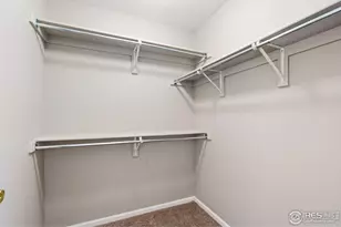 1009 Lochmore Pl, Fort Collins, CO 80524 - Photo 15