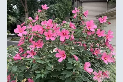 4945 Tesla Cir, Boulder, CO 80301 - Photo 31