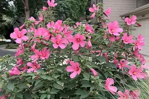 4945 Tesla Cir, Boulder, CO 80301 - Photo 31