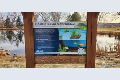 924 Larch Dr, Windsor, CO 80550 - Photo 39