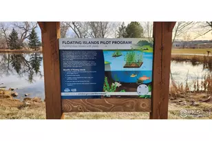 924 Larch Dr, Windsor, CO 80550 - Photo 39