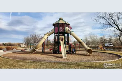 924 Larch Dr, Windsor, CO 80550 - Photo 37