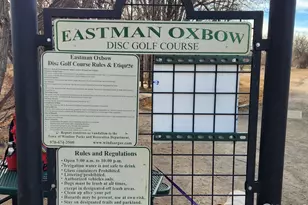 924 Larch Dr, Windsor, CO 80550 - Photo 31