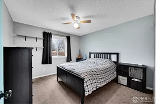 4113 Warbler Dr, Fort Collins, CO 80526 - Photo 19