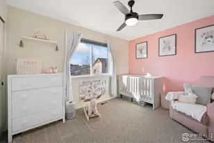 715 Mt Evans Ave, Severance, CO 80550 - Photo 13