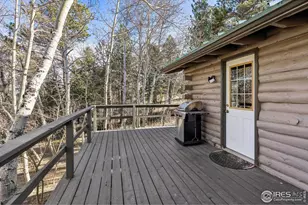 150 Mt Fisher Ct, Livermore, CO 80536 - Photo 23