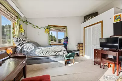 150 Mount Fisher Ct, Livermore, CO 80536 - Photo 19