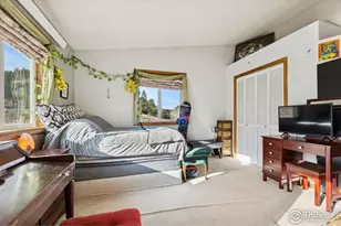 150 Mt Fisher Ct, Livermore, CO 80536 - Photo 19