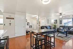 3462 Hewitt St, Loveland, CO 80538 - Photo 15