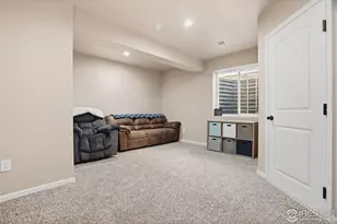 1102 Tur St, Severance, CO 80550 - Photo 41